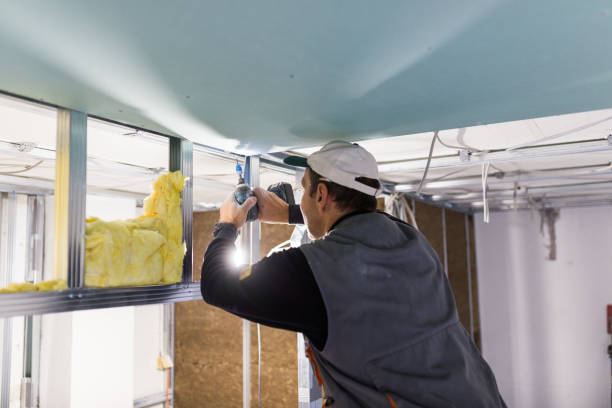 Best Commercial Insulation Contractor  in Shaw, MS