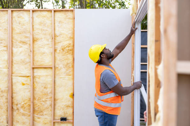 Best Best Insulation Companies  in Shaw, MS
